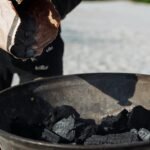 how to choose the best charcoal for your grilling needs